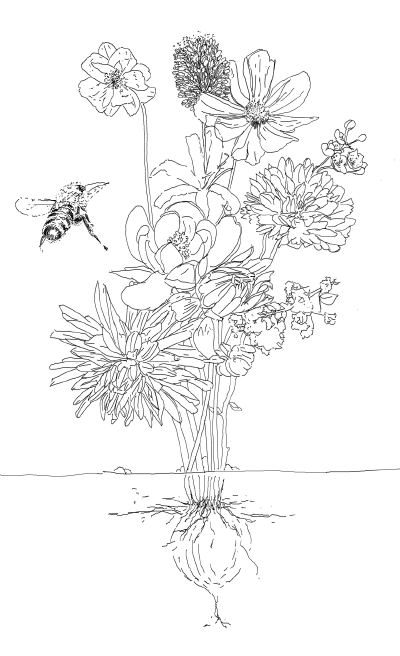 Fleurs