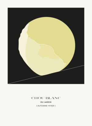 Affiche illustration graphique d'un chou blanc
