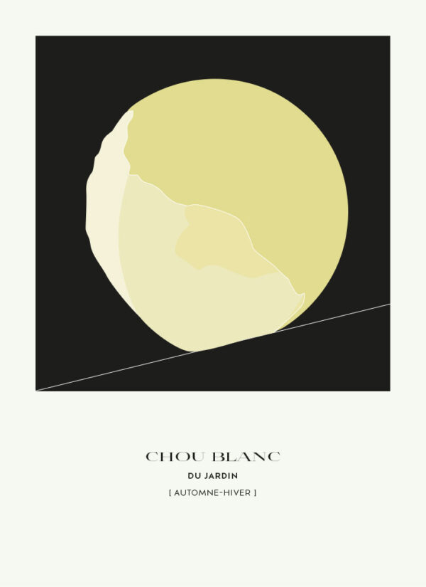 Affiche illustration graphique d'un chou blanc