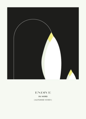 L'endive : recette