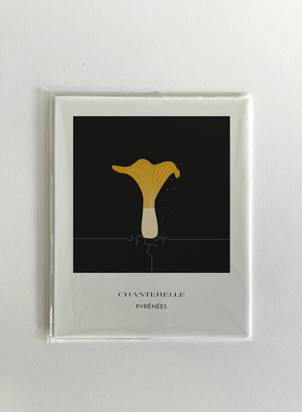 Champignon des Pyrénées pack