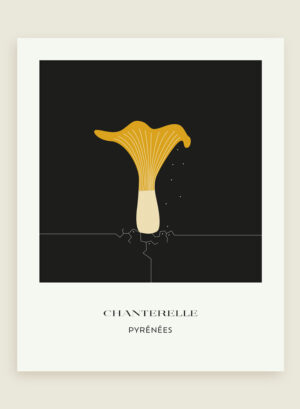 Champignon des Pyrénées