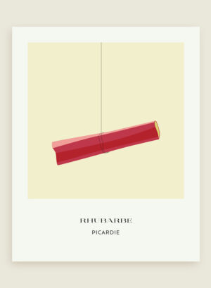 Rhubarbe de Picardie
